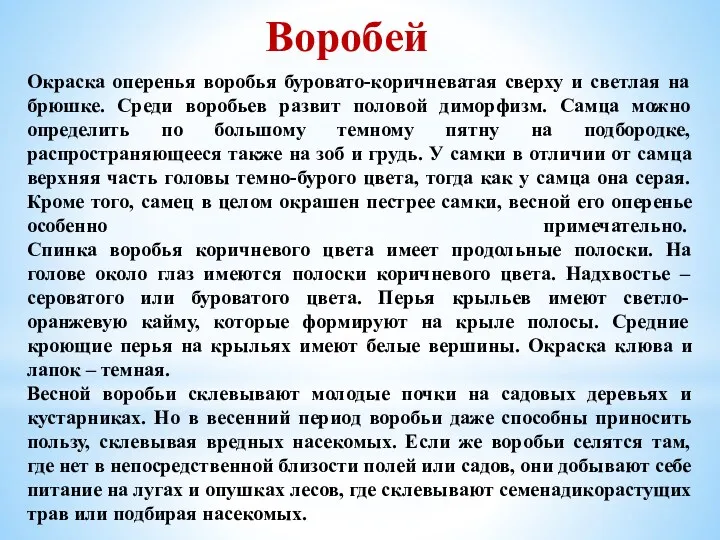 Окраска оперенья воробья буровато-коричневатая сверху и светлая на брюшке. Среди