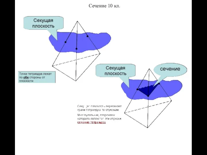 Сечение 10 кл.