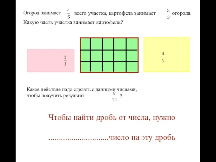 Чтобы найти дробь от числа, нужно .............................число на эту дробь Огород занимает всего