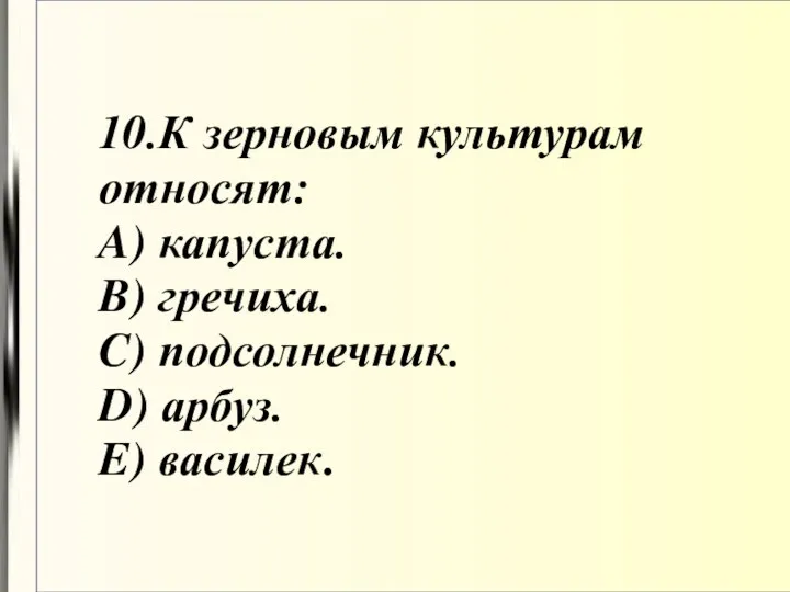 10.К зерновым культурам относят: A) капуста. B) гречиха. C) подсолнечник. D) арбуз. E) василек.