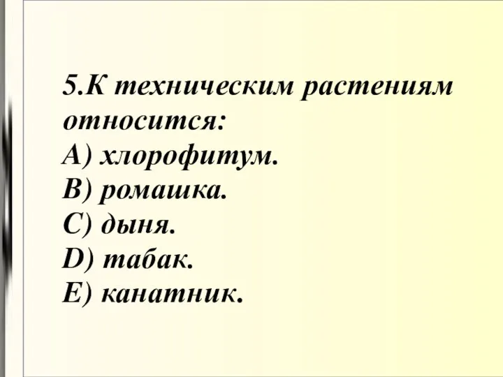 5.К техническим растениям относится: A) хлорофитум. B) ромашка. C) дыня. D) табак. E) канатник.