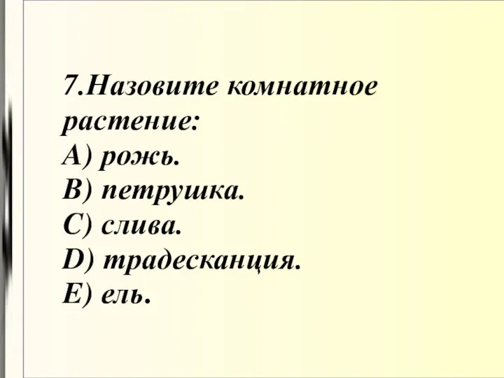 7.Назовите комнатное растение: A) рожь. B) петрушка. C) слива. D) традесканция. E) ель.
