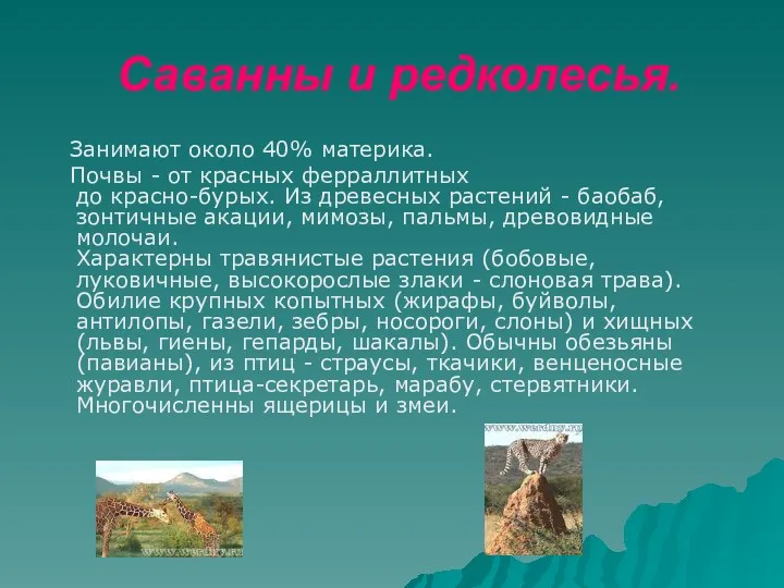 Саванны и редколесья. Занимают около 40% материка. Почвы - от