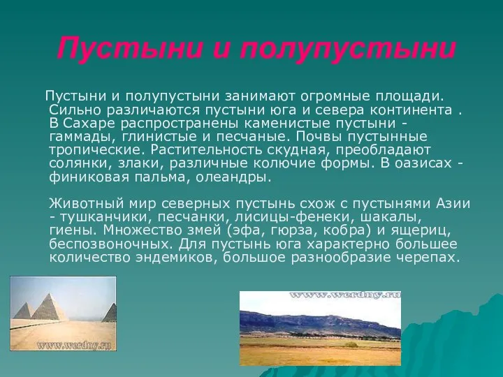 Пустыни и полупустыни Пустыни и полупустыни занимают огромные площади. Сильно