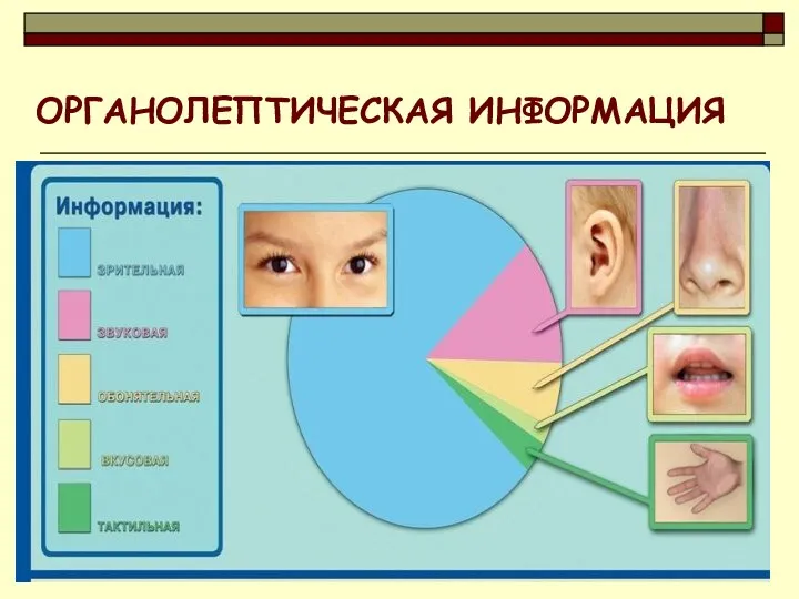 ОРГАНОЛЕПТИЧЕСКАЯ ИНФОРМАЦИЯ