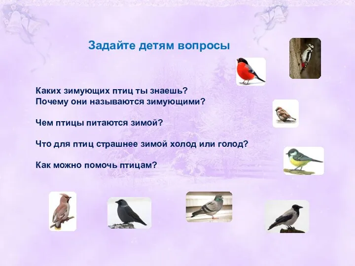Задайте детям вопросы Каких зимующих птиц ты знаешь? Почему они называются зимующими? Чем