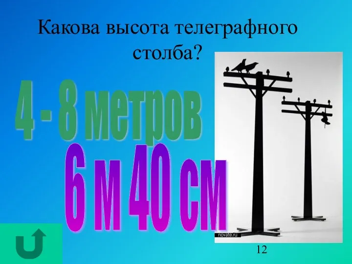 Какова высота телеграфного столба? 4 - 8 метров 6 м 40 см