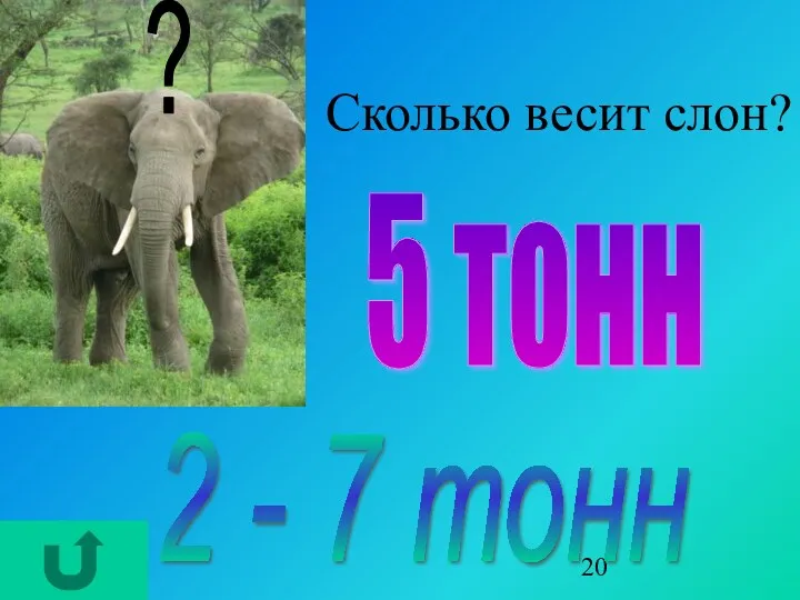 Сколько весит слон? ? 2 - 7 тонн 5 тонн