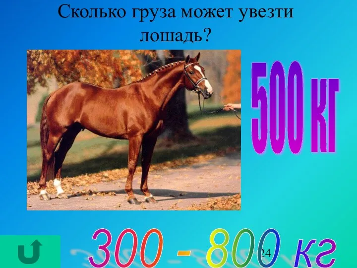 Сколько груза может увезти лошадь? 300 - 800 кг 500 кг