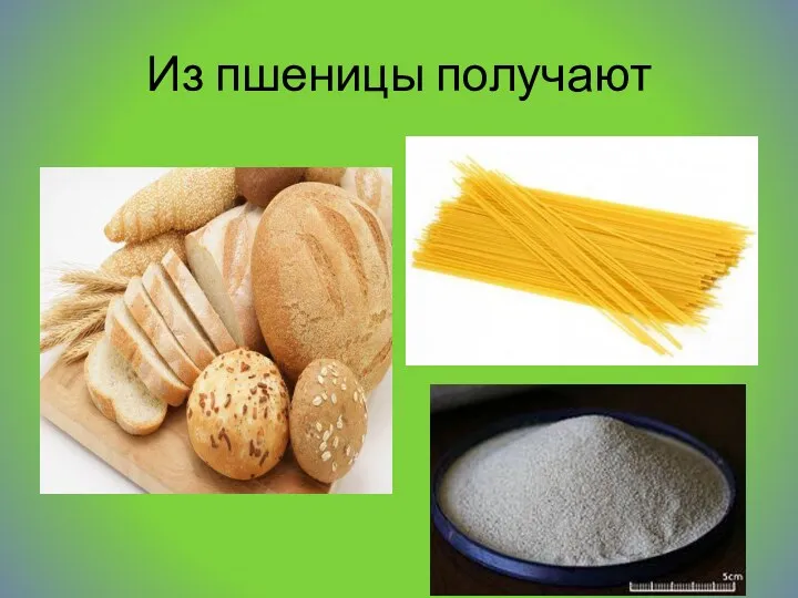 Из пшеницы получают