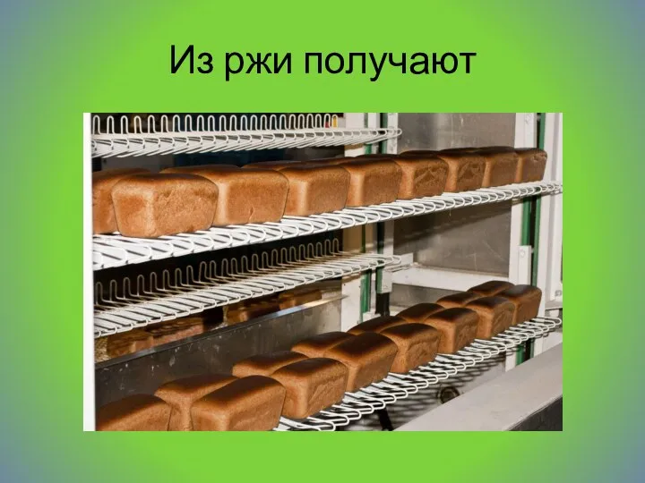 Из ржи получают