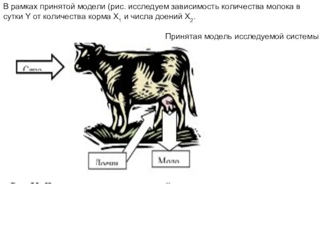 В рамках принятой модели (рис. исследуем зависимость количества молока в