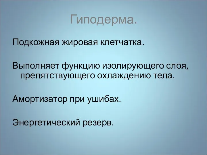 Гиподерма. Подкожная жировая клетчатка. Выполняет функцию изолирующего слоя, препятствующего охлаждению тела. Амортизатор при ушибах. Энергетический резерв.