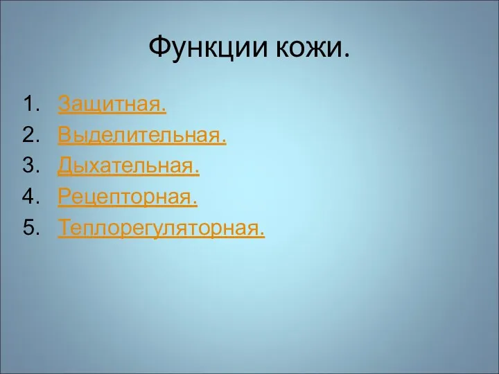 Функции кожи. Защитная. Выделительная. Дыхательная. Рецепторная. Теплорегуляторная.