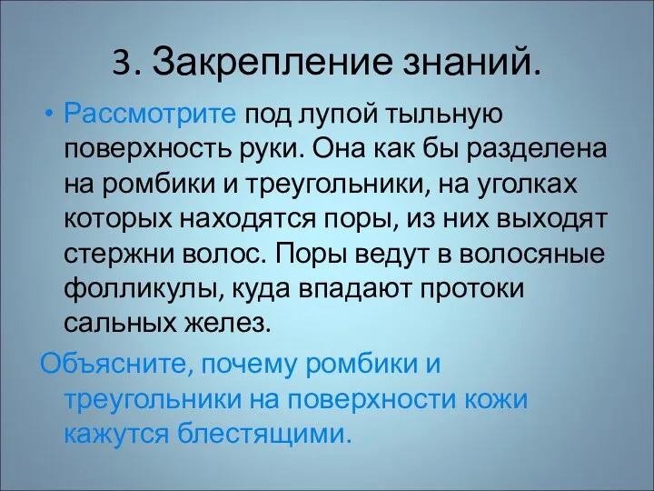 3. Закрепление знаний. Рассмотрите под лупой тыльную поверхность руки. Она