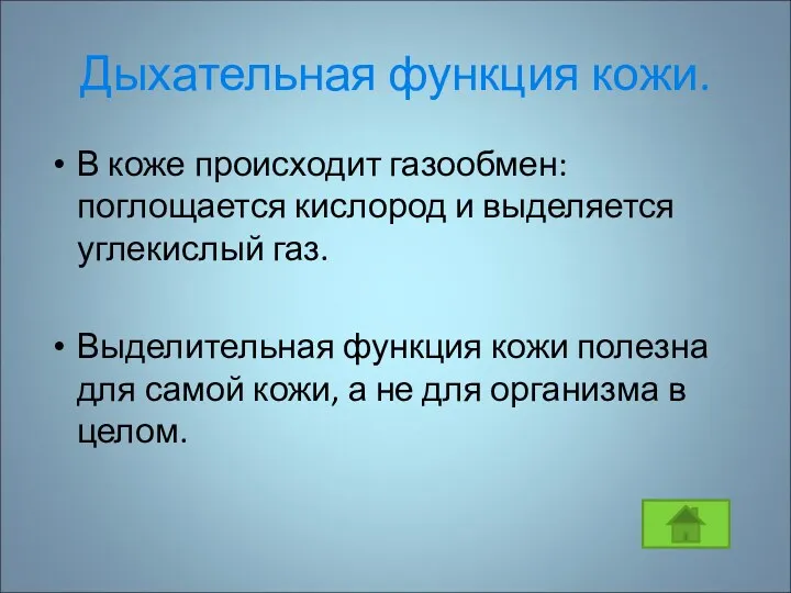 Дыхательная функция кожи. В коже происходит газообмен: поглощается кислород и