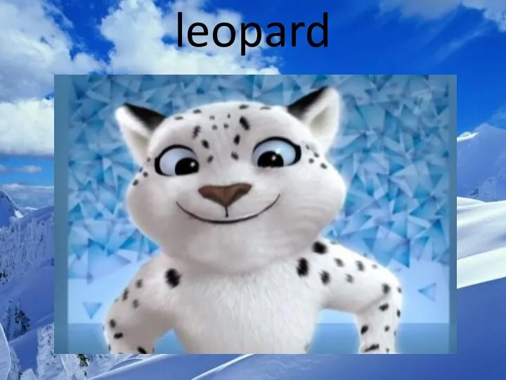 leopard