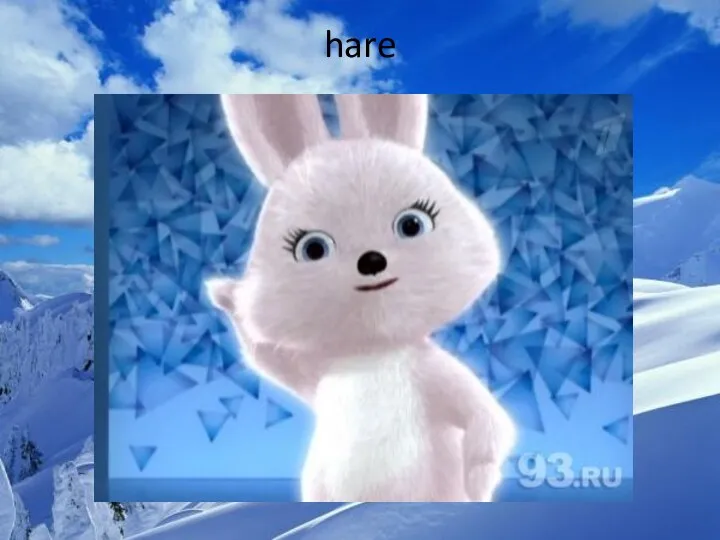 hare