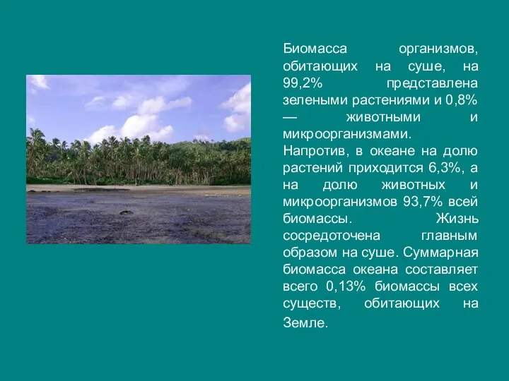 Биомасса организмов, обитающих на суше, на 99,2% представлена зелеными растениями