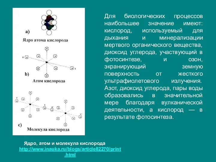 Для биологических процессов наибольшее значение имеют: кислород, используемый для дыхания