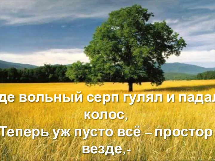 Где вольный серп гулял и падал колос, Теперь уж пусто всё – простор везде,-