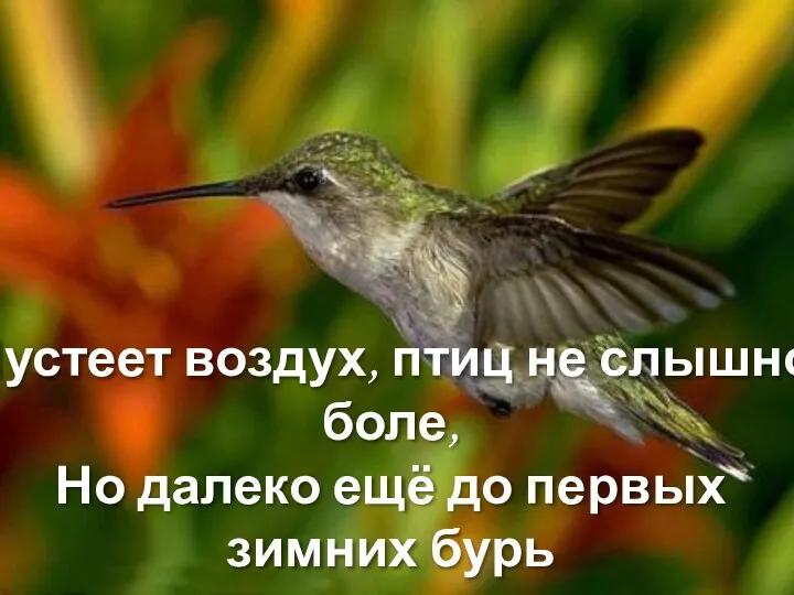 Пустеет воздух, птиц не слышно боле, Но далеко ещё до первых зимних бурь