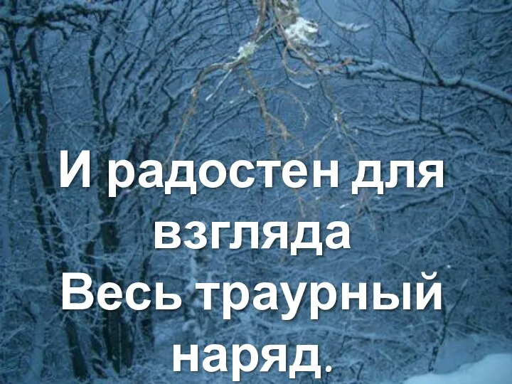 И радостен для взгляда Весь траурный наряд.