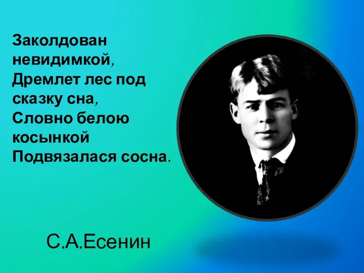 Заколдован невидимкой, Дремлет лес под сказку сна, Словно белою косынкой Подвязалася сосна. С.А.Есенин