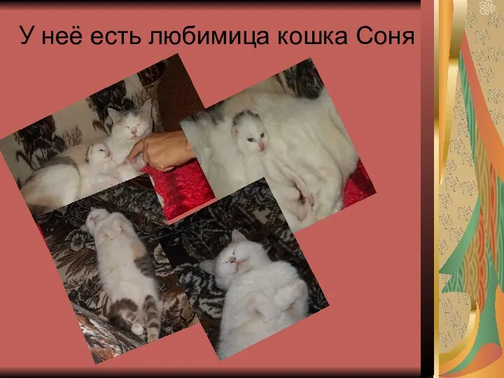 У неё есть любимица кошка Соня