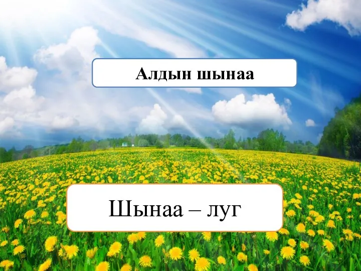 Шынаа – луг Алдын шынаа