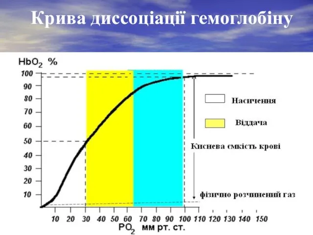 Крива диссоціації гемоглобіну