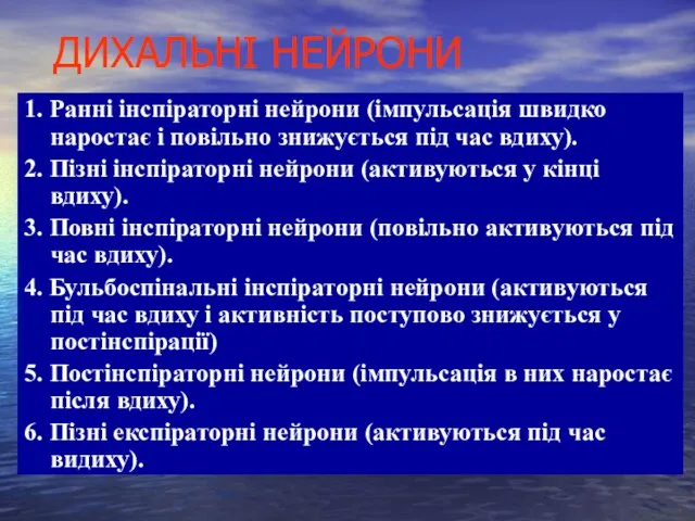 ДИХАЛЬНІ НЕЙРОНИ 1. Ранні інспіраторні нейрони (імпульсація швидко наростає і