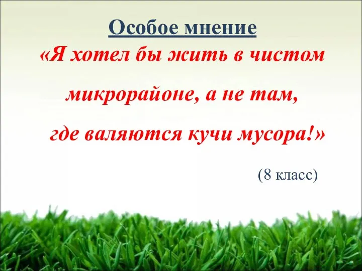 Особое мнение «Я хотел бы жить в чистом микрорайоне, а