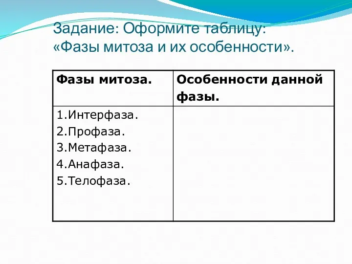 Задание: Оформите таблицу: «Фазы митоза и их особенности».