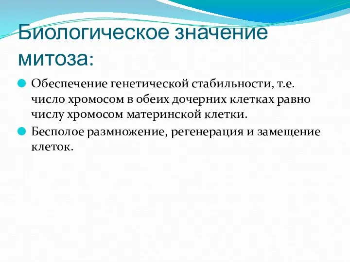 Биологическое значение митоза: Обеспечение генетической стабильности, т.е. число хромосом в