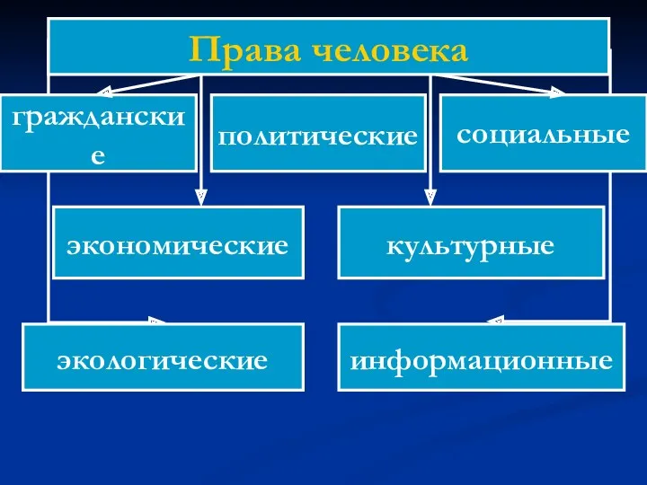 Права человека гражданские политические социальные экономические культурные экологические информационные