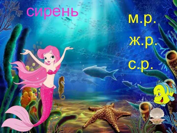 сирень м.р. ж.р. с.р.