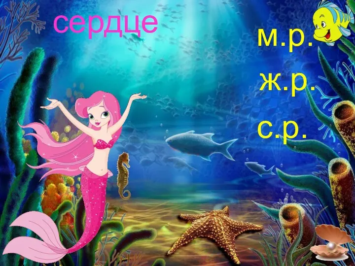 сердце м.р. ж.р. с.р.