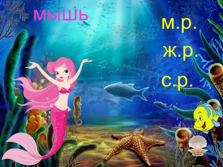 мышь м.р. ж.р. с.р.