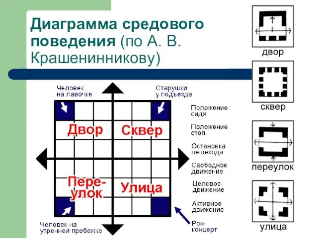 Диаграмма средового поведения (по А. В. Крашенинникову)