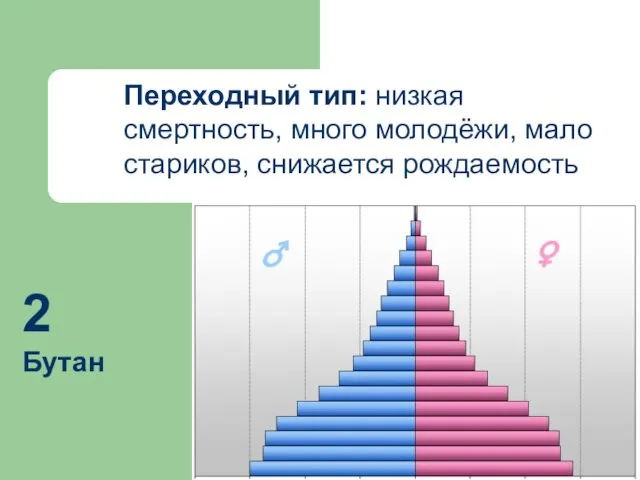 Переходный тип: низкая смертность, много молодёжи, мало стариков, снижается рождаемость 2 Бутан