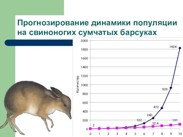 Прогнозирование динамики популяции на свиноногих сумчатых барсуках