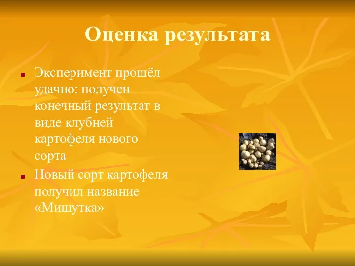 Оценка результата Эксперимент прошёл удачно: получен конечный результат в виде клубней картофеля нового