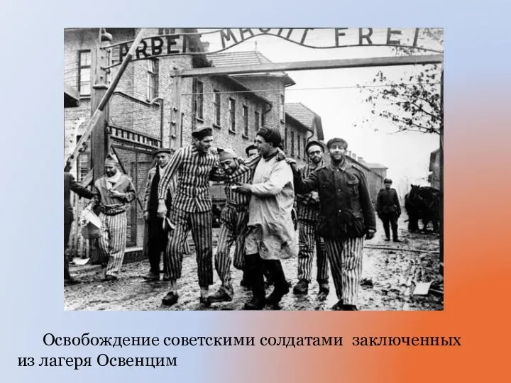Освобождение советскими солдатами заключенных из лагеря Освенцим