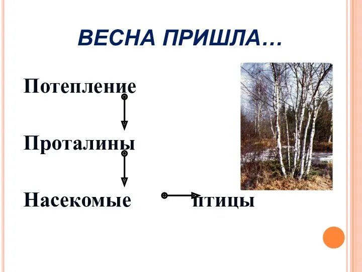 Потепление Проталины Насекомые птицы ВЕСНА ПРИШЛА…