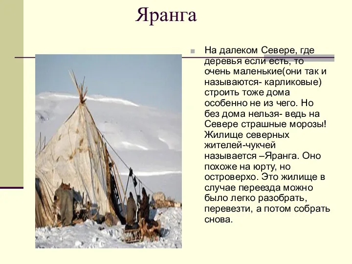 Яранга На далеком Севере, где деревья если есть, то очень маленькие(они так и