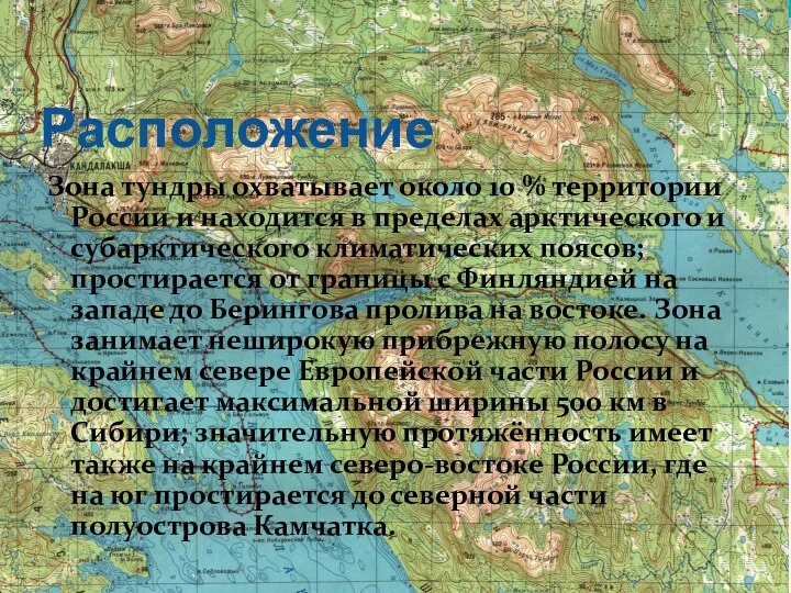 Расположение Зона тундры охватывает около 10 % территории России и