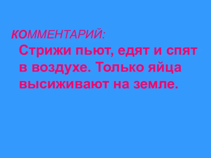 КОММЕНТАРИЙ: Стрижи пьют, едят и спят в воздухе. Только яйца высиживают на земле.