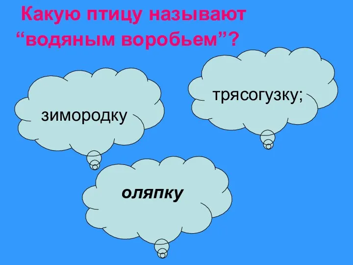 Какую птицу называют “водяным воробьем”? зимородку трясогузку; оляпку