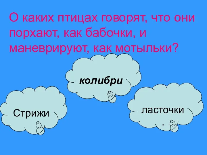 О каких птицах говорят, что они порхают, как бабочки, и маневрируют, как мотыльки? Стрижи колибри ласточки.